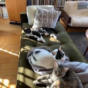 Meet your Posher, Vickie